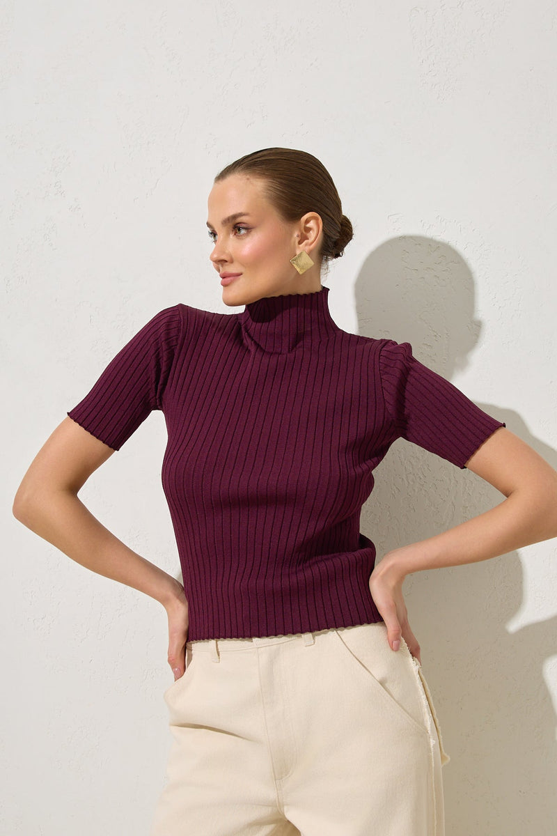 Setre Turtleneck Short Sleeves Blouse Burgundy