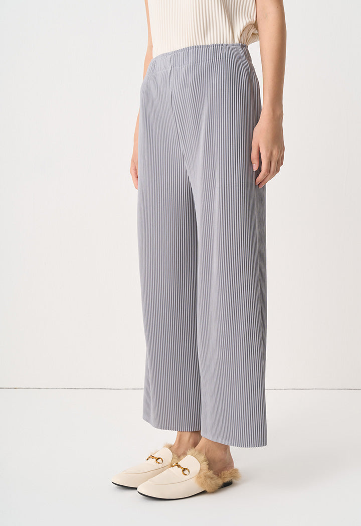 Choice Single Tone Pleated Trousers Grey