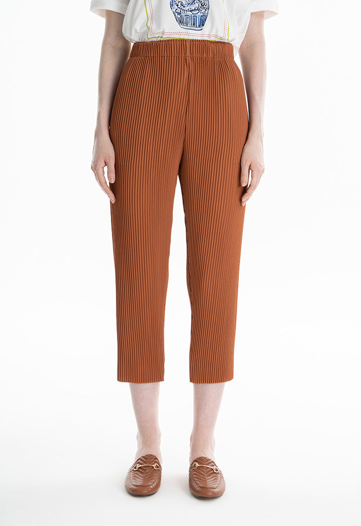 Choice Elasticated Waist Pleated Trousers Brick